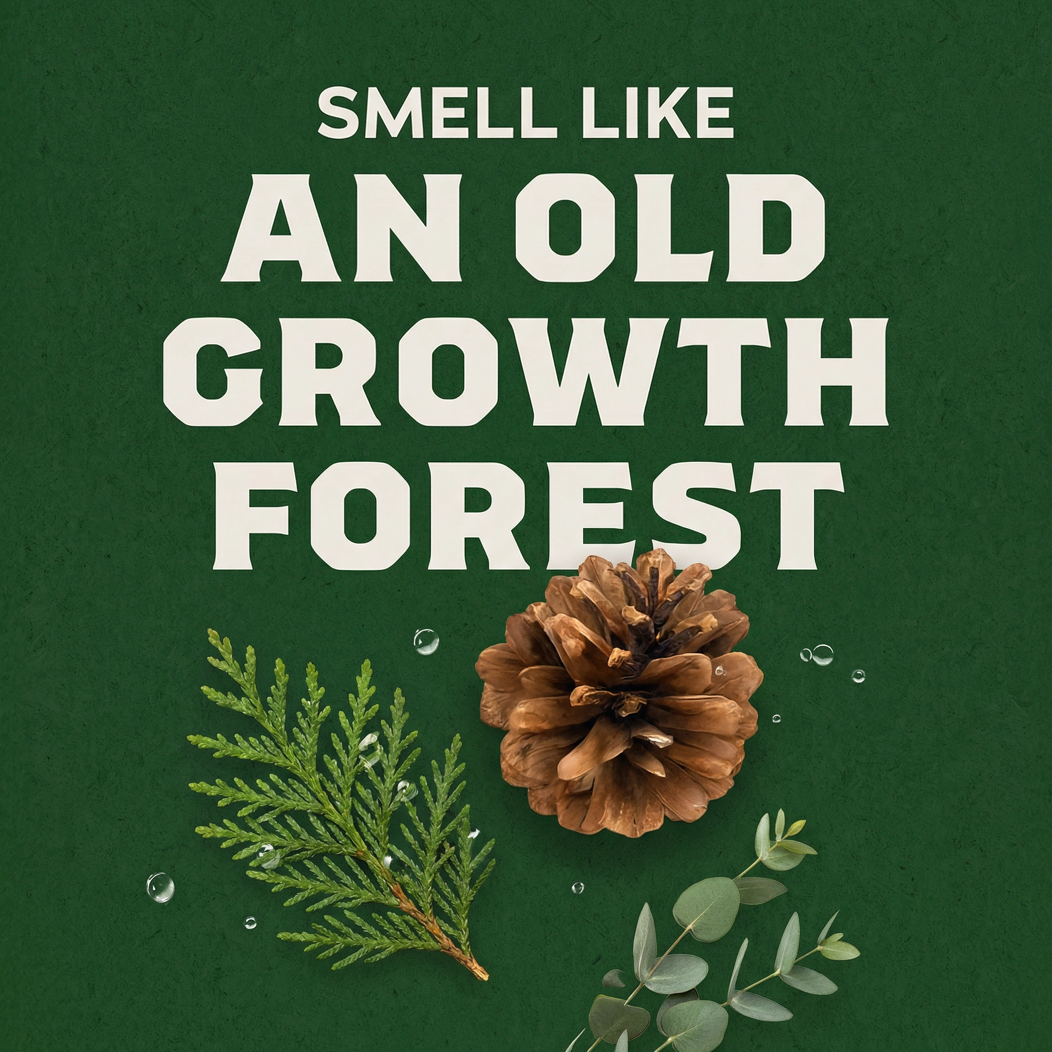 FOREST RESET – Eucalyptus & Cedar Soap Bar